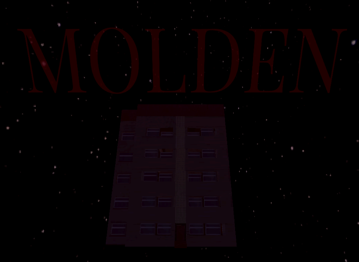 Cover image for MOLDEN