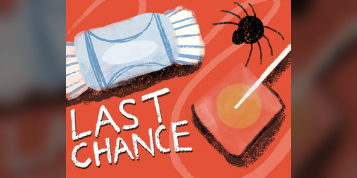 Cover image for Last Chance