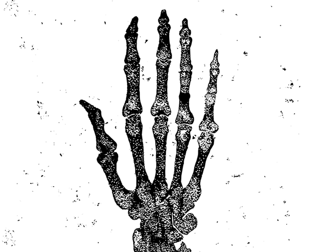 Cover image for Grave Matters - Dig Deeper