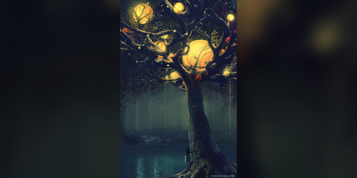 Cover image for The Tree of Dreams