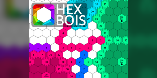 Cover image for HEX BOIS