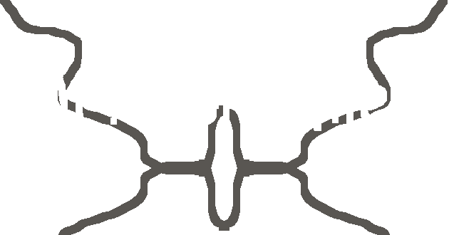 Dr Grimmer