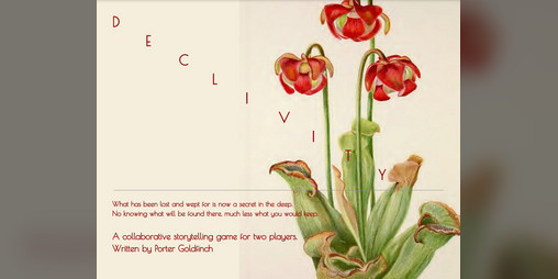 Cover image for DECLIVITY