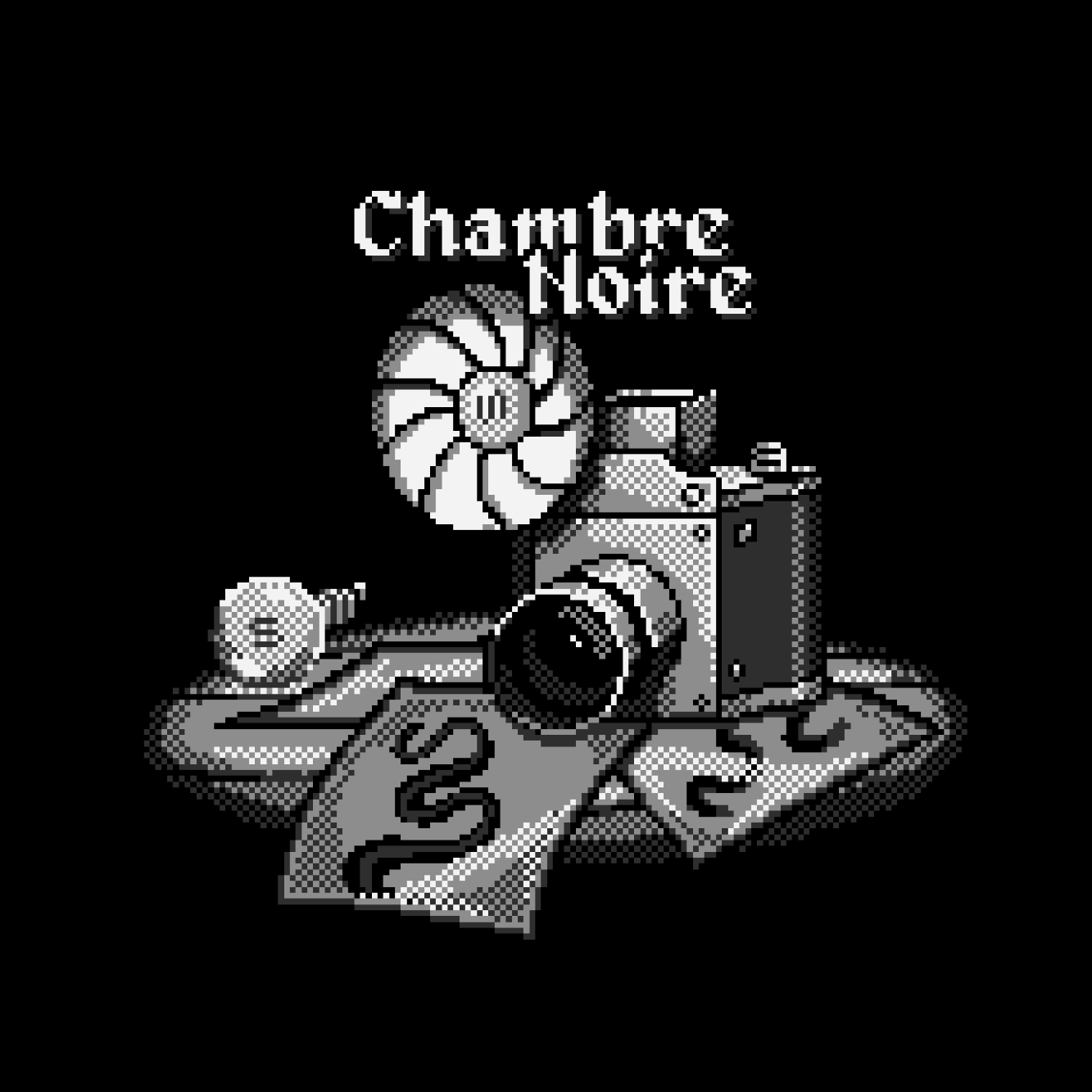 Cover image for Chambre Noire
