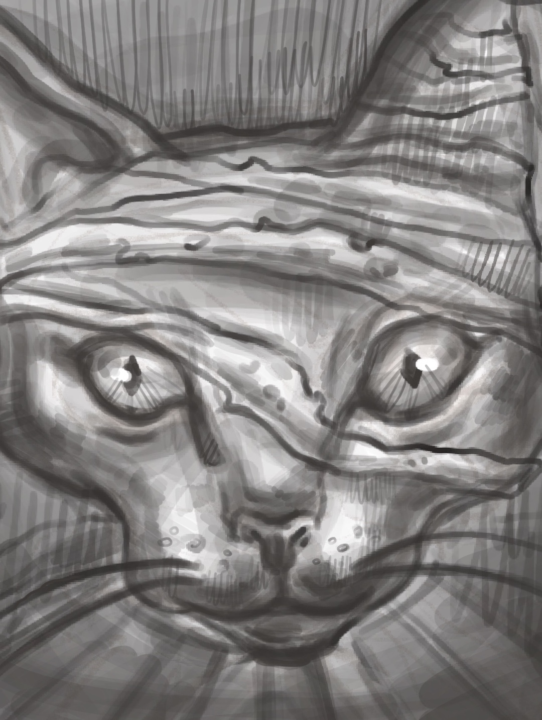 catRA