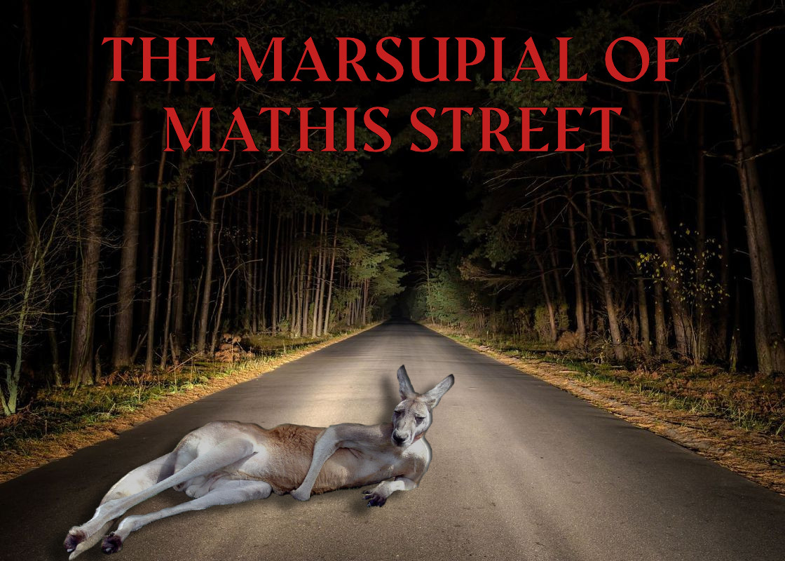 The Marsupial of Mathis Street by StamblerRambler