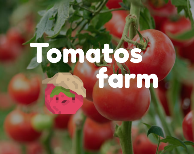 Tomatos Farm