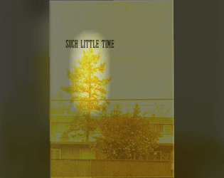 Such Little Time  