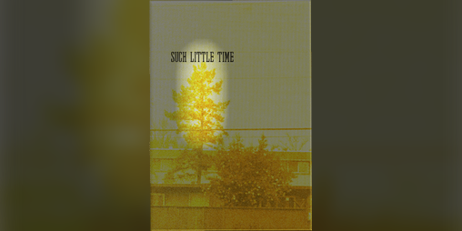 Cover image for Such Little Time