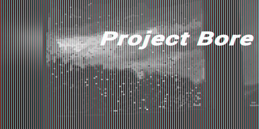 Cover image for Project Bore