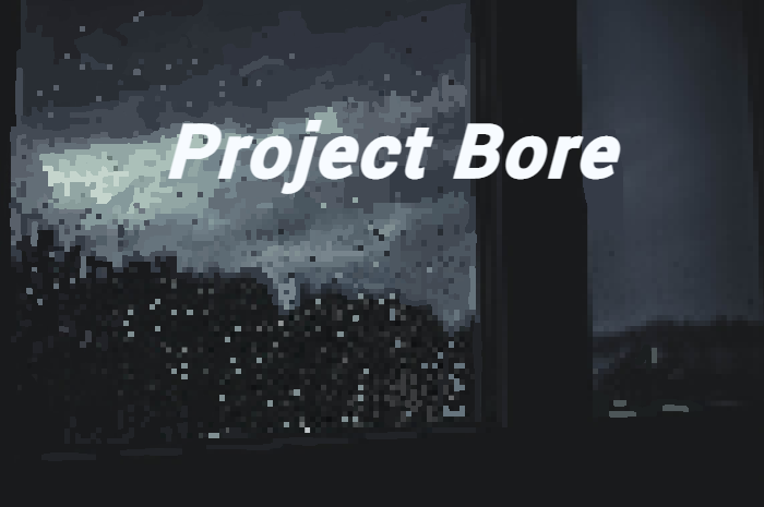 Cover image for Project Bore