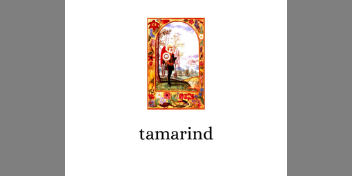 Cover image for tamarind