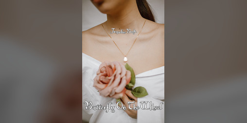 Cover image for Butterfly on the Wheel