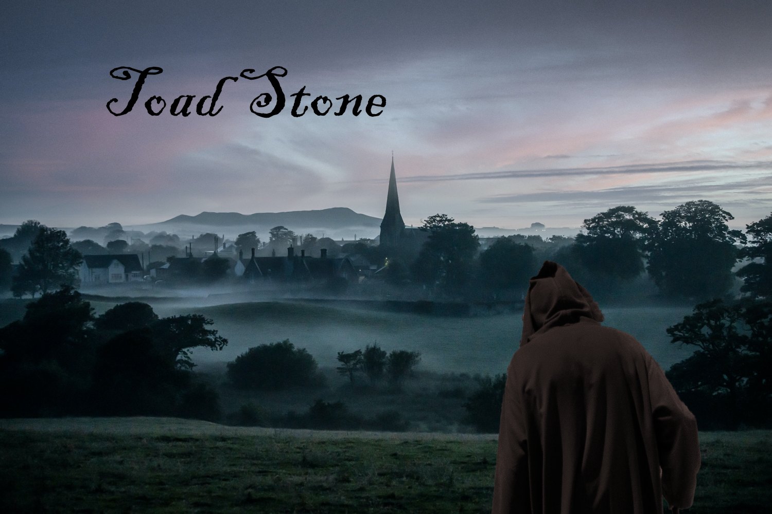 Toad Stone
