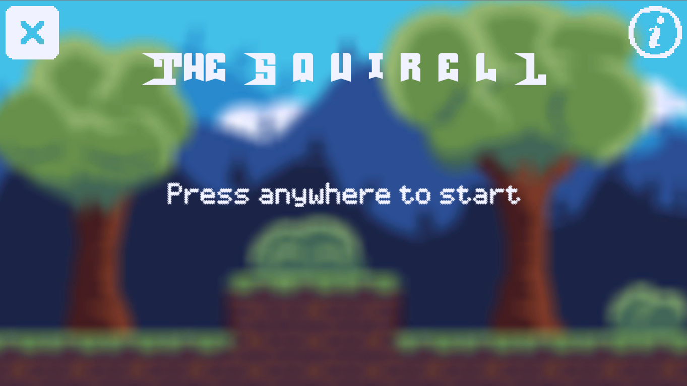 Cover image for The squirrel