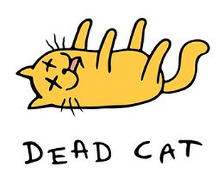 Die hungrige Katze