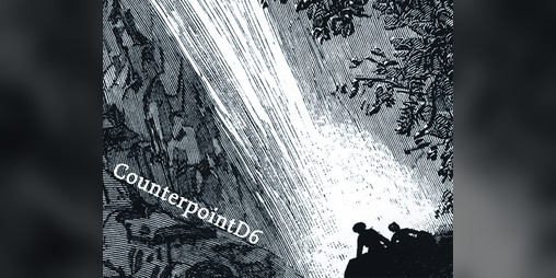 Cover image for CounterpointD6