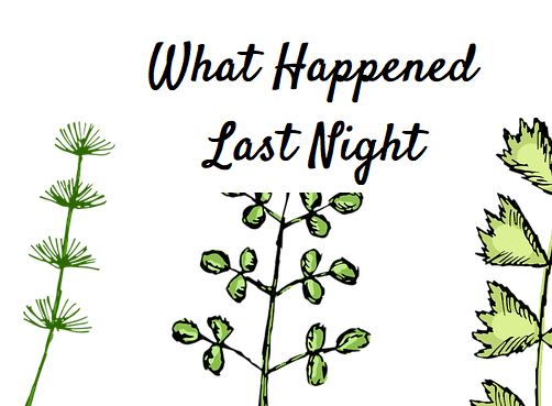 what-happened-last-night-by-armanda