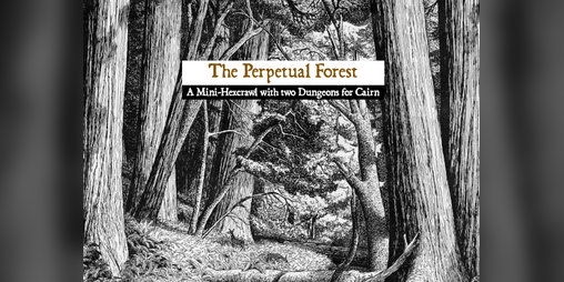 Cover image for The Perpetual Forest