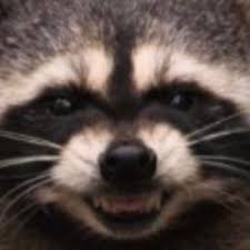BrickRaccoon