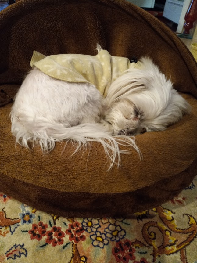 Yoshi bb ๐ฅบ Yoshi bb ๐ฅบ