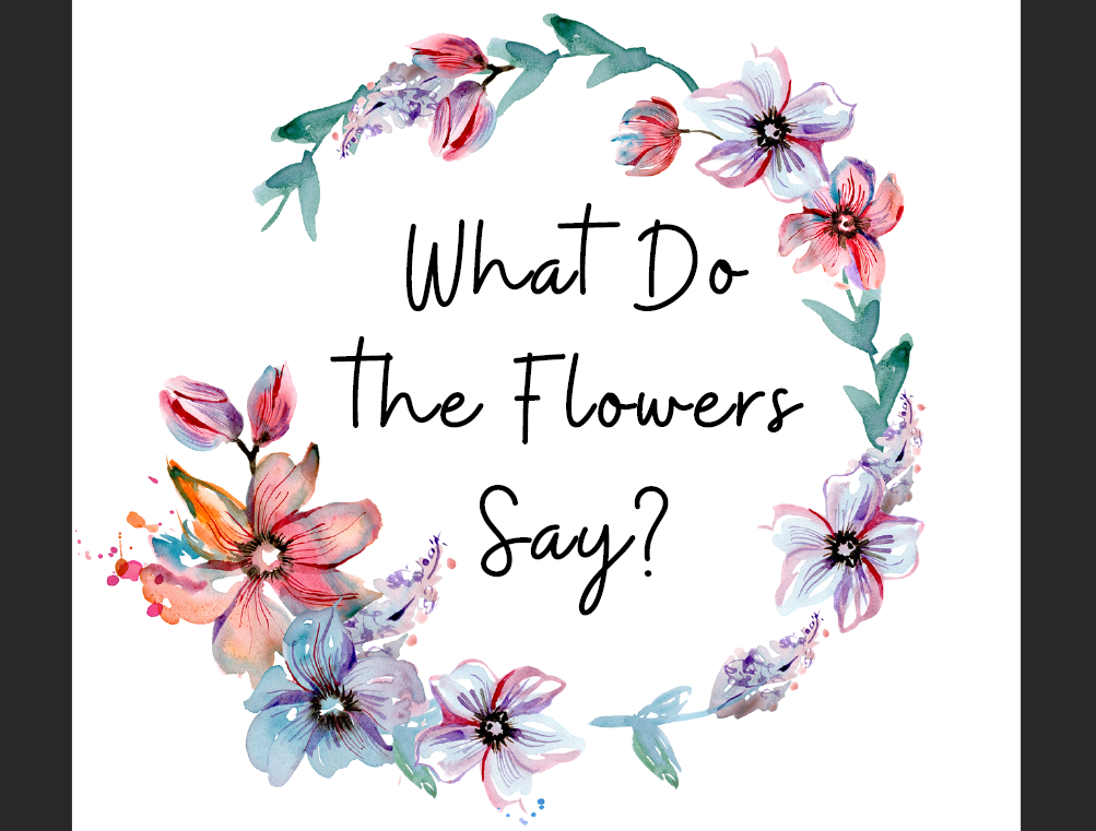 Cover image for What Do the Flowers Say?