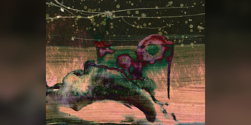 Cover image for Wanderhouse