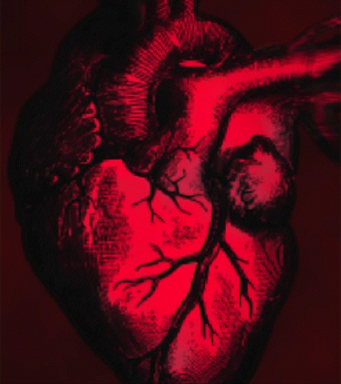 Cover image for 🫀 DEATH