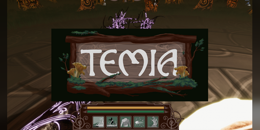 Cover image for TEMIA
