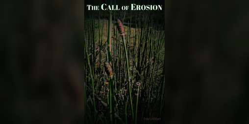 Cover image for The Call of Erosion