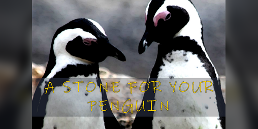 Cover image for A Stone For Your Penguin