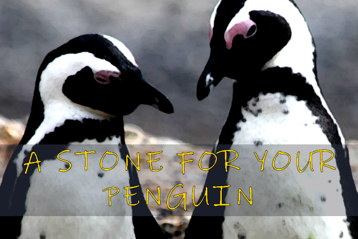 Cover image for A Stone For Your Penguin