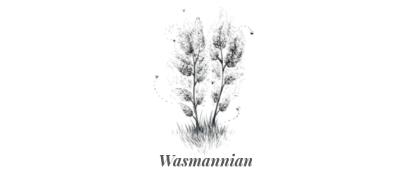 Wasmannian