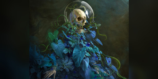 Cover image for Still Leben