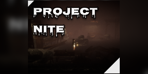 Cover image for Project Nite