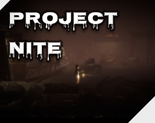 Cover image for Project Nite