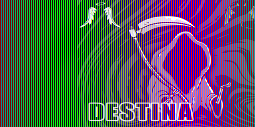 Cover image for Destina