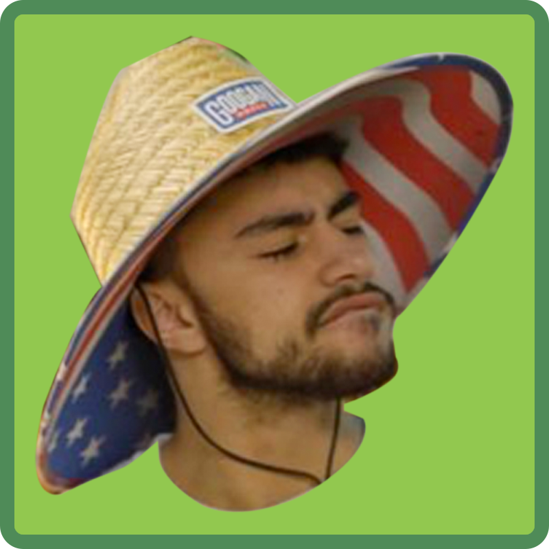Dashy Bird