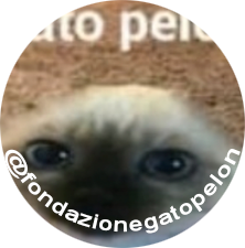 IL GIOCO UFFICIALE DI GATO PELON