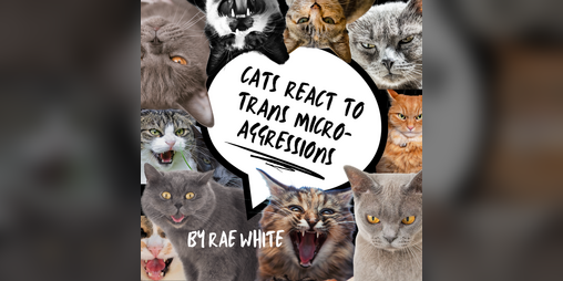 Cover image for Cats React to Trans Microaggressions