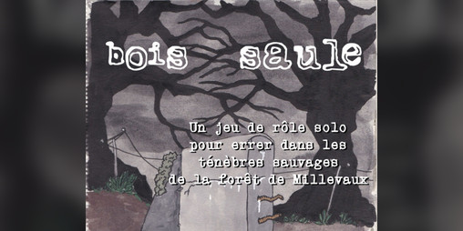 Cover image for Bois-Saule
