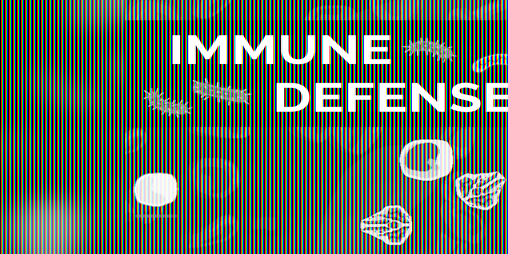 Cover image for Immune Defense