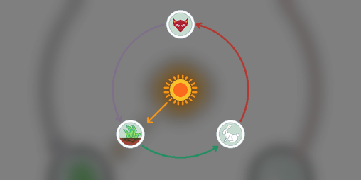 Cover image for Circle of Life