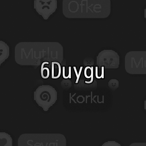 Cover image for 6Duygu