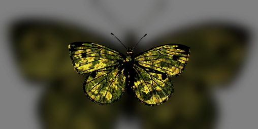 Cover image for You Live And Fern