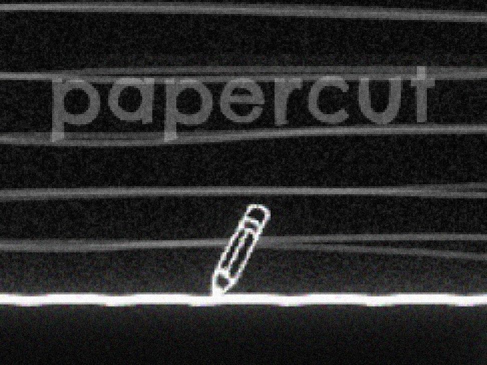 Cover image for papercut