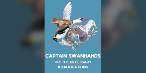 Cover image for Captain Swanhands