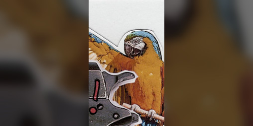 Cover image for BIRD CRIMES