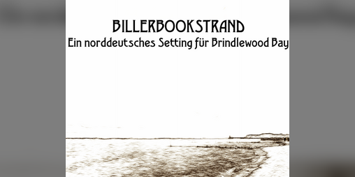 Cover image for Billerbookstrand