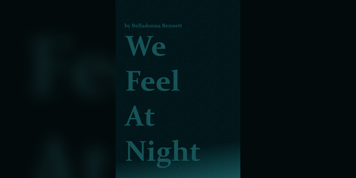 Cover image for We Feel At Night